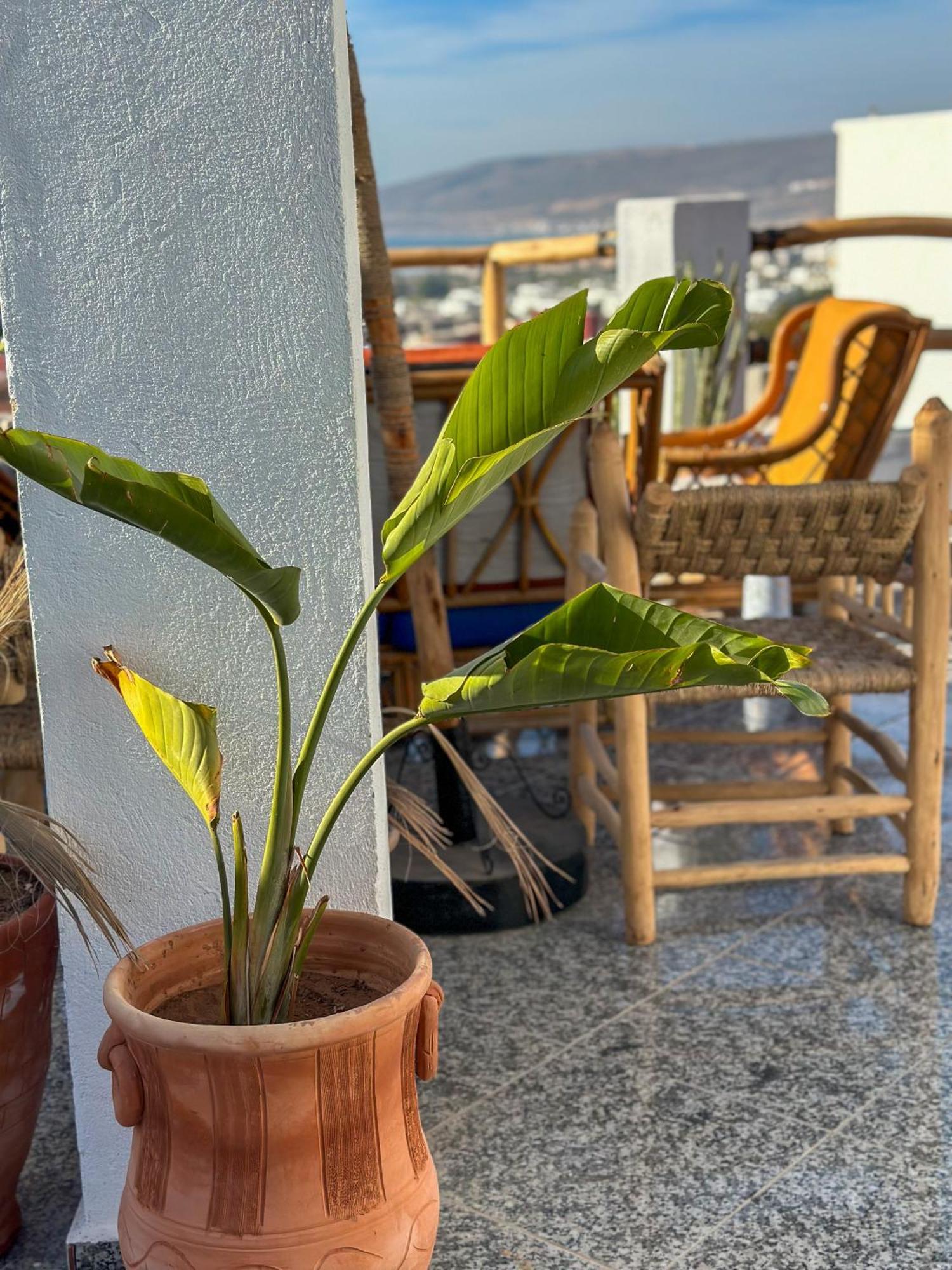 Paddle Out Morocco Hostel Tamraght ภายนอก รูปภาพ